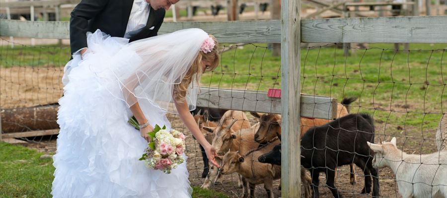 Post Family Farm Post Family Farm